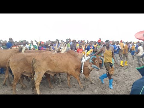 LUSHINDIKA NGANO UJUMBE IPELA KWA TABHAJI MSAMBAZAJI JIDOGA 18 2025