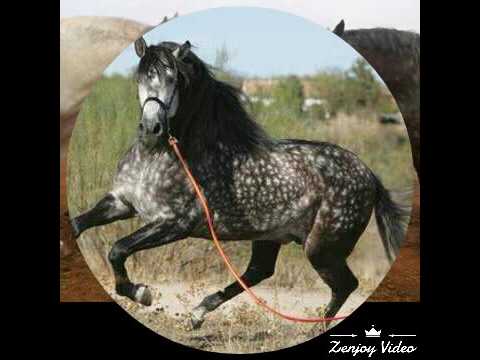 بن نابي إسماعيل بوقطب