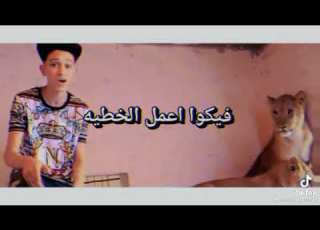  حالات واتس مهرجانات سامر المدني