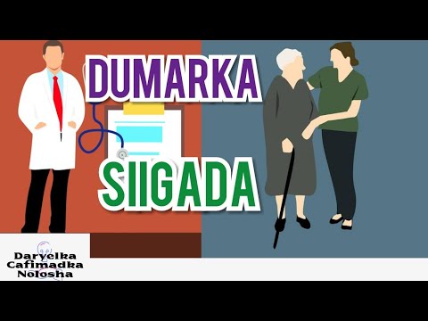 Dumarka Siigaysta Silica Nololeed Iyo Mida Cafimaad Ee Ay Maraan Dumarka Siigaysta Silica Nololeed Iyo Mida Cafimaad Ee Ay Maraan