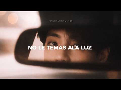 BTS Like Animals Sub Español Letras