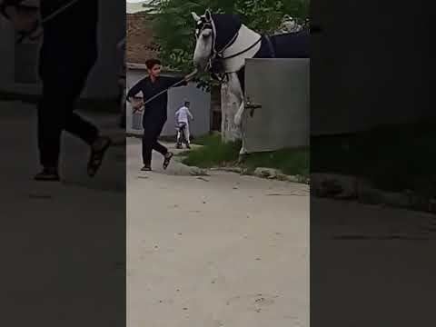 Thank You So Much For 40 Million Views Respect Shorts