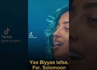 Yaa Biyyaa Lafa Solomon Alamuu