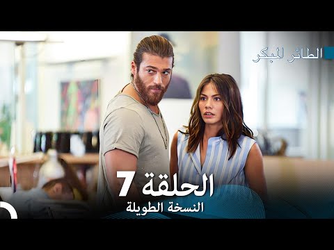 النسخة الطويلة المكتب 7 سلسل الطائر المبكر