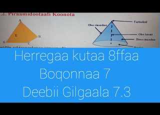 Herrega Kutaa 8ffaa Boqonnaa 7 Deebii Gilgaala 7 3