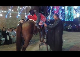 تحميل Mp3 Mp4 الريس قاسم طبل بلدي صعيدي زمن الفن الجميل مرتبط بأغنية خيل