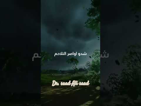 هيا قفوا من جديد لا تستسلم ابدأ رحلتك من الصفر وغي ر حياتك تحفيز Trending تطوير الذات