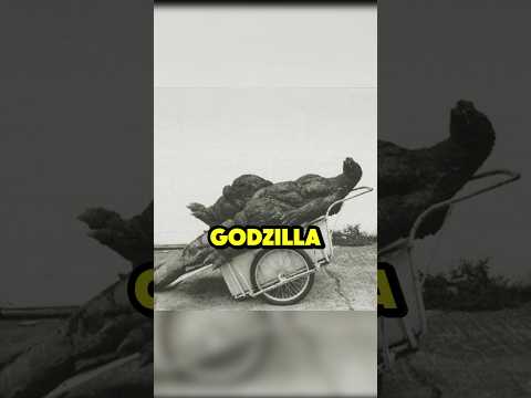 DER ECHTE GODZILLA Wurde GEFUNDEN Godzilla Toho Godzillavsmothra Gojira Horrorstories Su