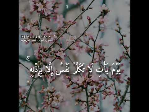 حالات واتس اب دينية عمر الدريويز ي و م ي أ ت ل ا ت ك ل م ن ف س إ ل ا ب إ ذ ن ه