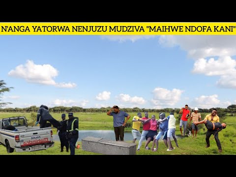 N Anga Yatorwa NeNjuzu Mudziva Maihwe Ndofa Kani