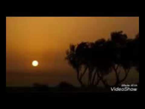 غناء الشاعر عباس الغالبي مابيه حيل معاتبك غناء الشاعر عباس الغالبي مابيه حيل معاتبك