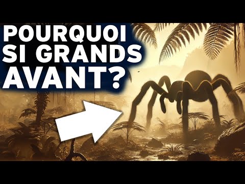 A Quoi Ressemblait La Terre à L Époque Des Insectes Géants Documentaire Histoire De La Terre