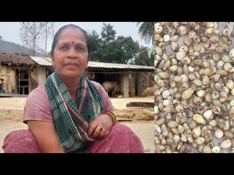 इम न प र मटकम मह व New Ho Videos 2026