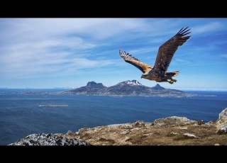  Visiting Bodø The World S Strongest Tidal Current A Double Beach And Our Worst Travel Mistake