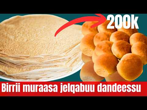 Hojiilee Bu Aa Guddaa Qaban Maallaqa Muraasan Jelqabu Dandeenyu 2026