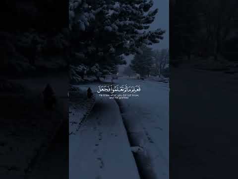 Yasser Al Dossari Surah Al Fath Yasseraldossari Surahfath Qurantranslation