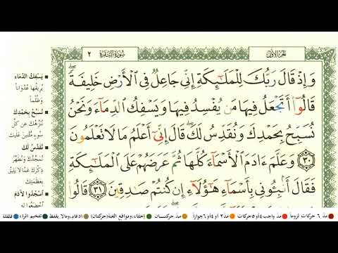 صلاح الجمل سورة البقرة مكتوبة