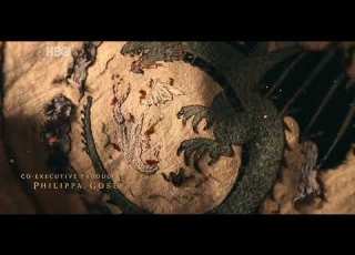  Intro 2x08 House Of The Dragon