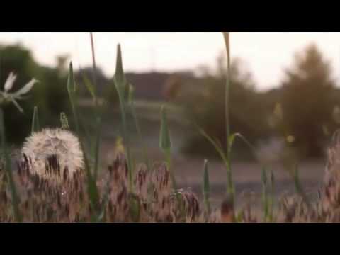 لك الحمد طوعا