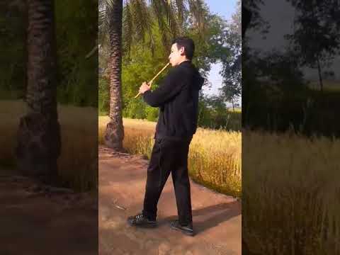 ممكن موسيقى الشيخ الشعراوي