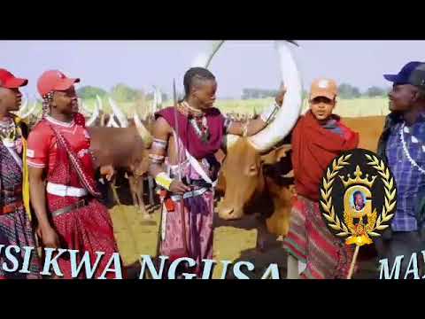 MAYIKUSAI HARUSI KWA NGUSA BY MBASHA STUDIO NCHEMBA MIDASHI MSAMBAZAJI 2023