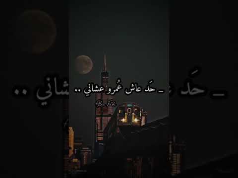 بيت كبير تامر عاشور