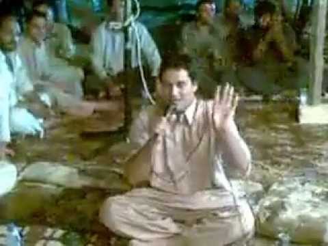 مجرودة سود ميامي