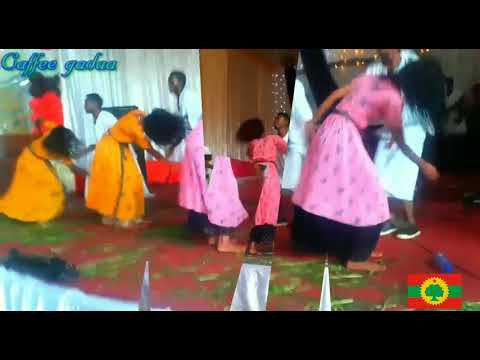 Hawwisoo Tuuta Caffee Gadaa Best Oromo Shaggooyyee Music Abdusalam Haji Midhasaa 2019
