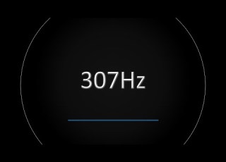  307Hz Mid Range Frequency BURP Test Tone