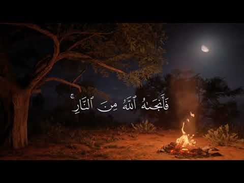 تلاوات مبكية وخشوع تام للقارئ عبد الرحمن مسعد نصف ساعة كاملة