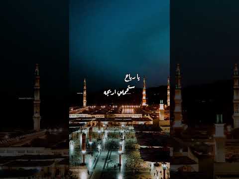 تلطفي ياريح بالمدينة المنورة ابتهال جميل للشيخ النقشبندي