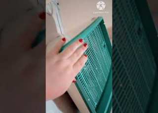 هيلا براء العويد طيور الجنة