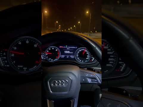 يلعن عرض المصاري