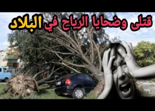  العاصفه زينب برياح سرعتها 160ك في البلاد تفاصيل بالفيديو