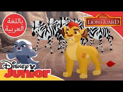 قيادة الأسد الحارس كايون يحمي الحمر الوحشية