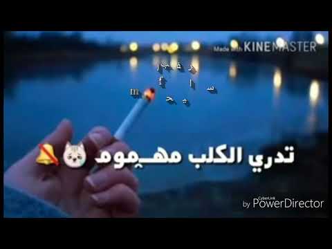 وشعجب قاطع بية ياراحتي النفسية محمودحجو سفيرالحب وشعجب قاطع بية ياراحتي النفسية محمودحجو سفيرالحب
