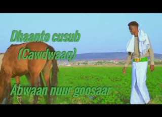  Abwaan Nuur Goosaar Dhaanto Cusub Ree Cawdwaaq Uqaadey 2023 Mp4