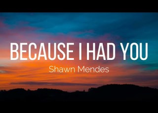  Shawn Mendes Because I Had You Lyrics