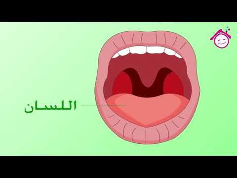 Tongue Song Al Lessan Song أغنية اللسان قناة دار القمر قناة الطفل العربي Tongue Song Al Lessan Song أغنية اللسان قناة دار القمر قناة الطفل العربي