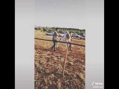 حسن المطيرات 15