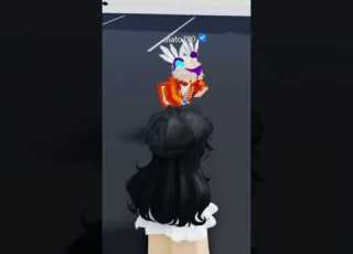 مياه جوز الهند