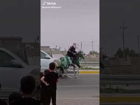 حادث فرس في طريق مشاية الحسين