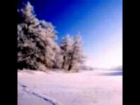 محمد صديق منشاوي ان هذا القران يهدي للتي هي اقوم