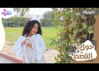  تشويقة كليب حول القطط جديد قناة تغاريد