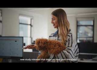 Meet Tavily Powering AI That Gives You Answers You Can Trust