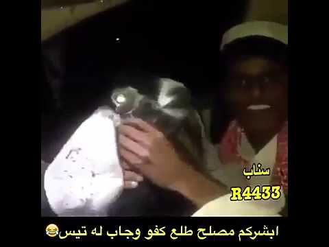 ابشركم مصلح طلع كفو وجاب له التيس ههه