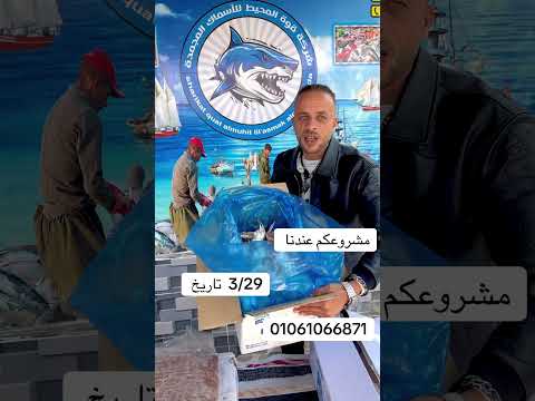 مشرعكم عندنا الحق قوةالمحيط الكل مستفيد سوق العبور عنبر ٣ اسماك اولاد شحاتة مشرعكم عندنا الحق قوةالمحيط الكل مستفيد سوق العبور عنبر ٣ اسماك اولاد شحاتة