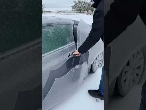 Best Videos Of The Year You Must Watch ShortVideo Trending