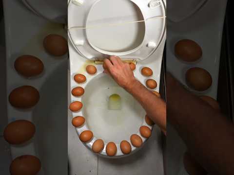 Do NOT Try This On Your Toilet