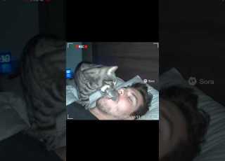  Cat Puts Mouse In Owner S Mouth Want To Make Al Video Like This Link In Bio Ai Aivideo